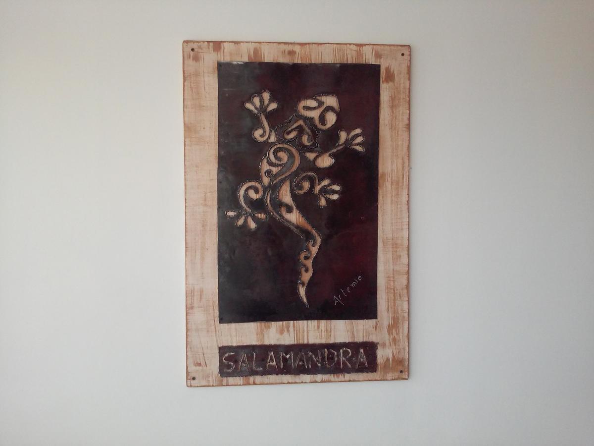 Salamandra Apartamentos 엘 칼라파테 외부 사진
