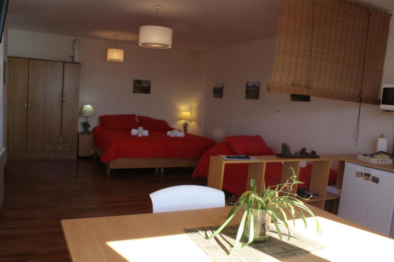 Salamandra Apartamentos 엘 칼라파테 외부 사진